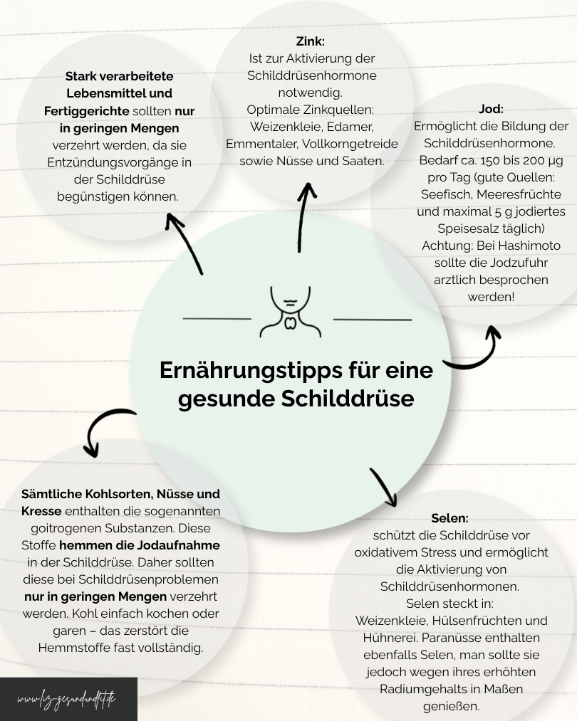 Bild Ernährungstipps für eine gesunde Schilddrüse