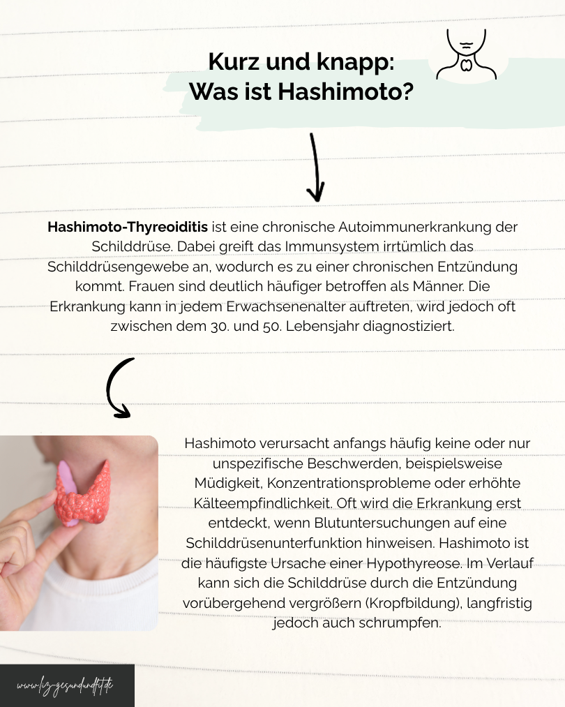 Bild Kurz und knapp Was ist Hashimoto