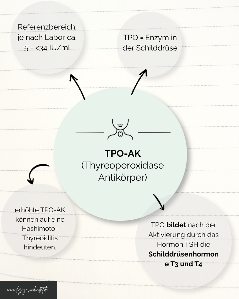Bild TPO-AK