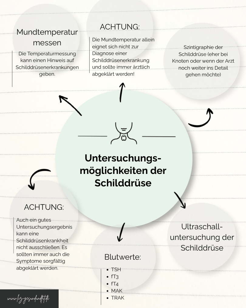 Bild Untersuchungsmöglichkeiten der Schilddrüse.png