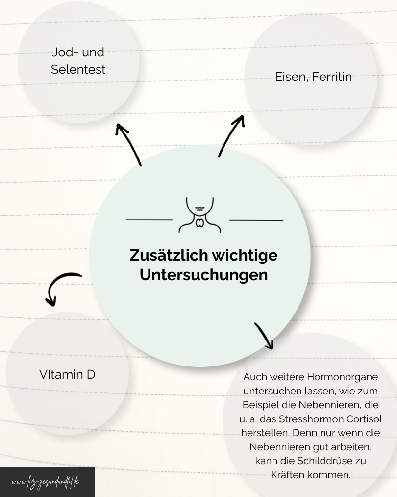 Bild Zusätzlich wichtige Untersuchungen bei Verdacht auf Schilddrüsenerkrankung