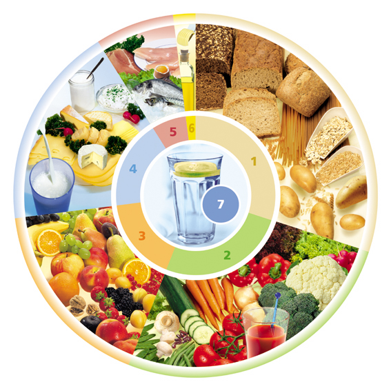DGE Ernährungskreis – vollwertige Ernährung